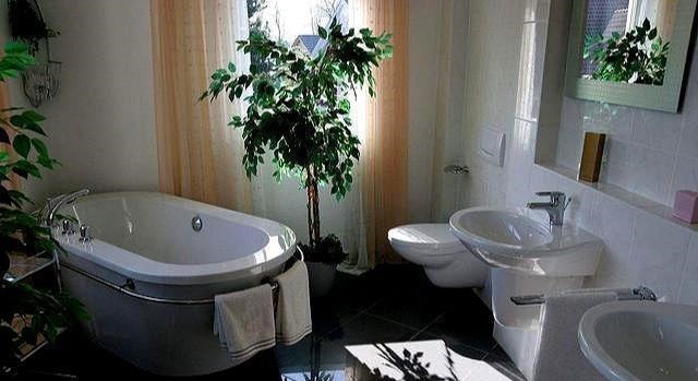 地漏|卫生间总有异味3个源头易被忽视,2招轻松去异味