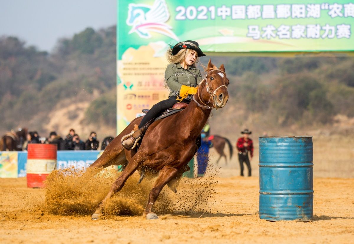 鄱阳湖|2021中国都昌鄱阳湖“农商银行杯”马术名家耐力赛