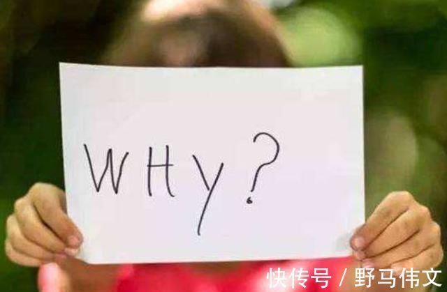 孩子|孩子总说“这句话”,说明你可能养了个天才,家长别轻易扼杀