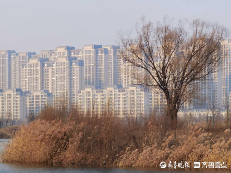 冬日的华山湖微波荡漾！感受这个季节济南独有的韵味|情报站| 华山湖