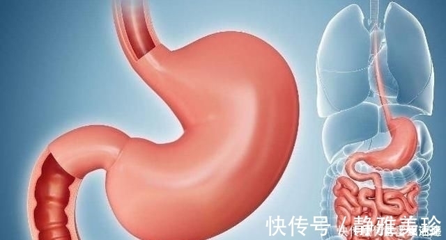 减肥|减肥第一步,肯定是先“减胃”,饭前牢记3句话,体重悄悄降下来