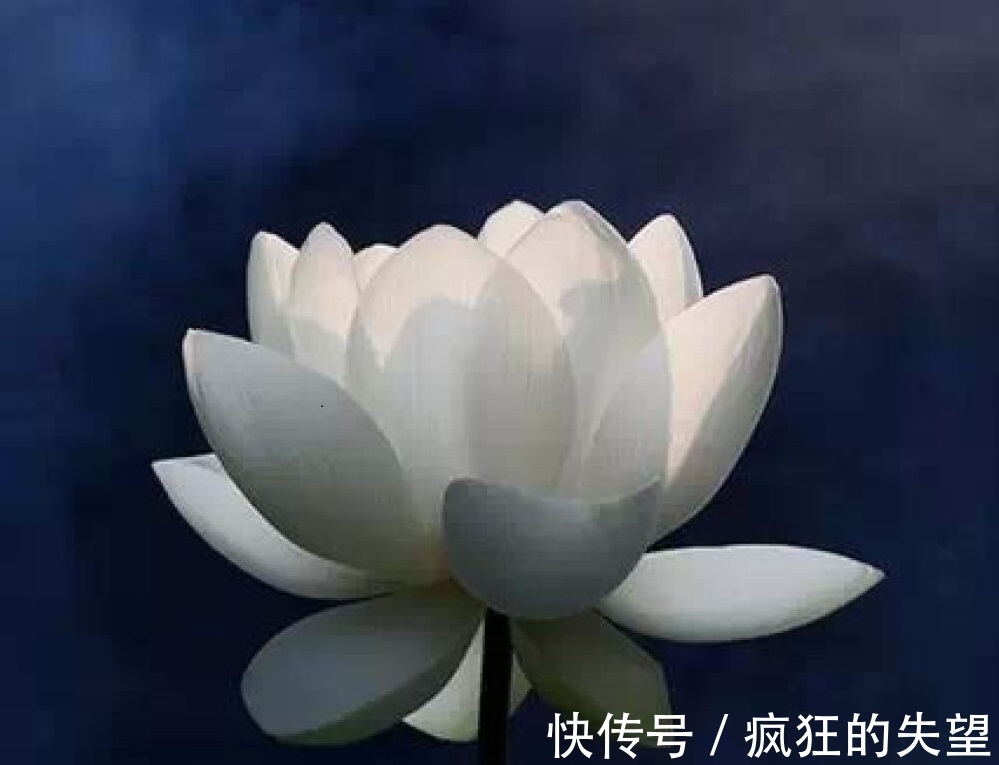 空性@对于鬼神，你信还是不信？《心经》中给出这样的解释