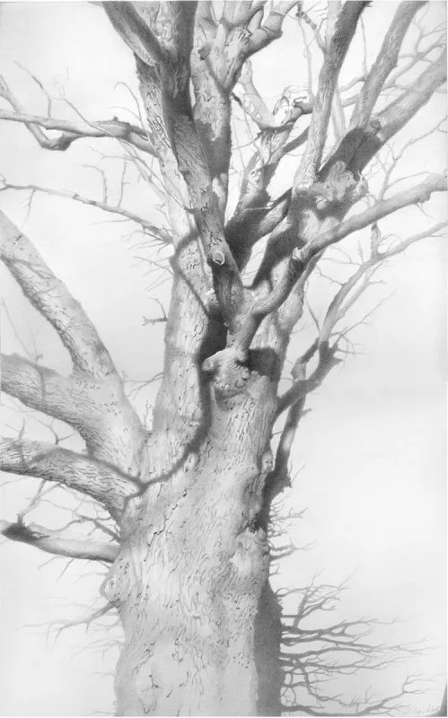 素描#乌克兰画家丹尼斯·切尔诺夫-头像、静物素描