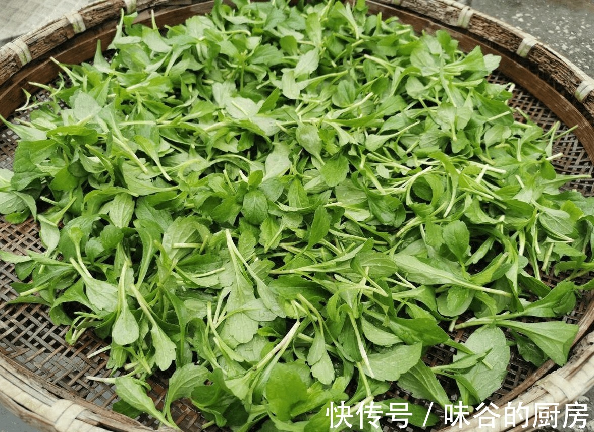 春寒|雨水至,万物生,记得“吃三样、喝三茶、捂三处”,轻松度过春季