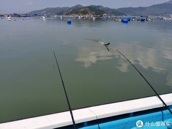 钓饵|颠覆传统内海垂钓方式，从环境鱼情出发，深度解析飘饵钓独特之处