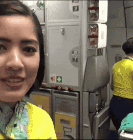 |搞笑GIF：大金毛估计是湖南的，四川重庆吃红辣椒，湖南就爱青椒