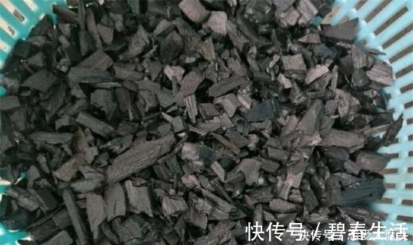 土壤|只有少数人才知道，用这种方法，短时间就能让多肉植物变旺盛！