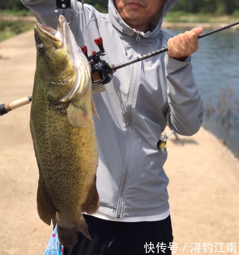 江西钓鱼人发现“新鱼种”，有人说是虫纹石鲈，会不会“泛滥”？