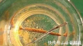 植物|比“雨水”浇花还好，这种水家家有，浇花不用施肥，百利无一害