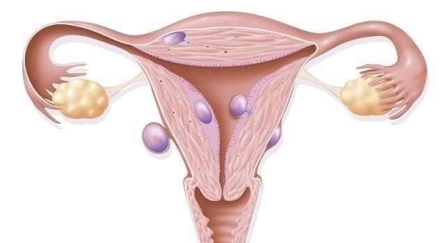 排卵期|生完孩子这个时间来例假，可能是易孕体质，不想意外二胎要当心
