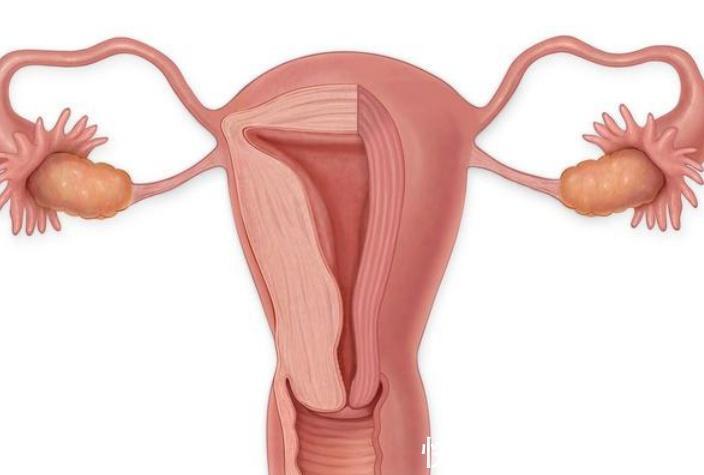 夫妻生活|妇科医生宫颈癌也“挑人”,平时注意4件事,一般都沾不上