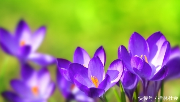 遇到小人不要怕,就学会这4招,再狡猾小人也不怕,让他服服帖帖