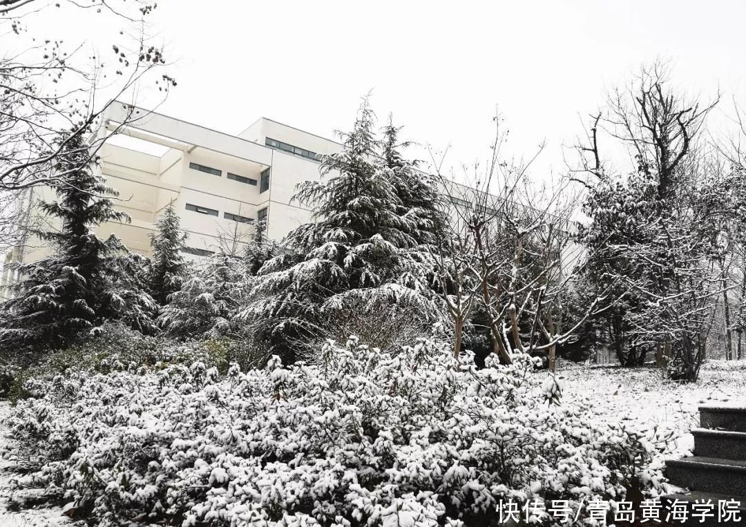  寒冷日甚，顺问冬安|今日大雪 | 大雪