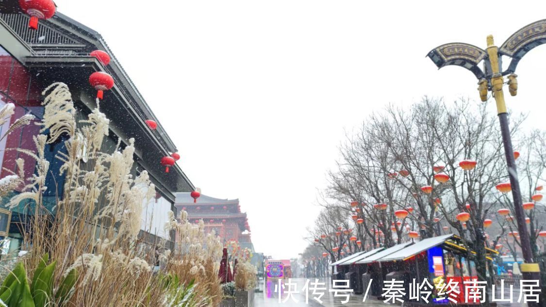 大唐|看惯了热闹与繁华,雪中别样的西安大雁塔和大唐不夜城,你见过吗,像极了唐朝