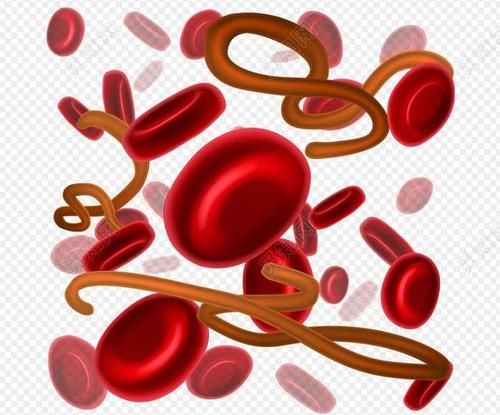 地中海贫血|血常规检查时,如果这三个指标升高,建议进行进一步检查