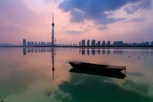 锚鱼|沂河上演“疯狂的锚鱼”,鲢鳙鱼受伤最深!