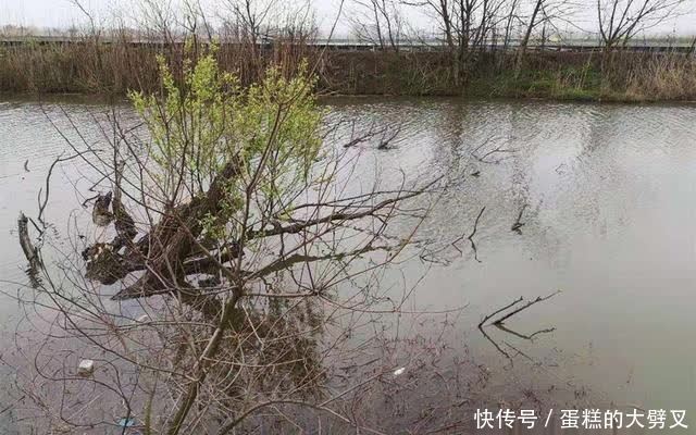 清明过后钓鲫鱼,这些地方有鱼窝,在这些位置下竿,不愁钓不到鱼