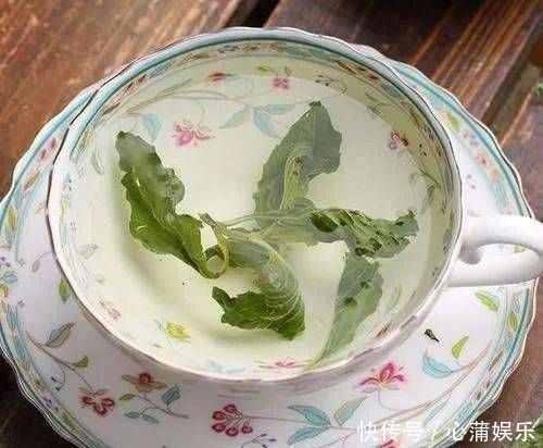 一种叶子堪称“口臭天敌”,泡水喝,火气降了,从此无口臭