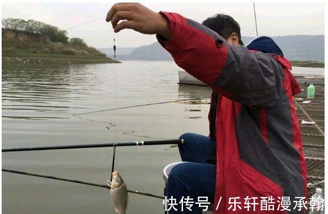 冬钓鲫鱼,越钓鱼越小再不改变钓法,就离停口不远了