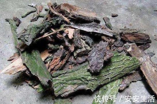 养花浇水,把控不好总引起烂根盆底铺垫上它们,轻松养根护根