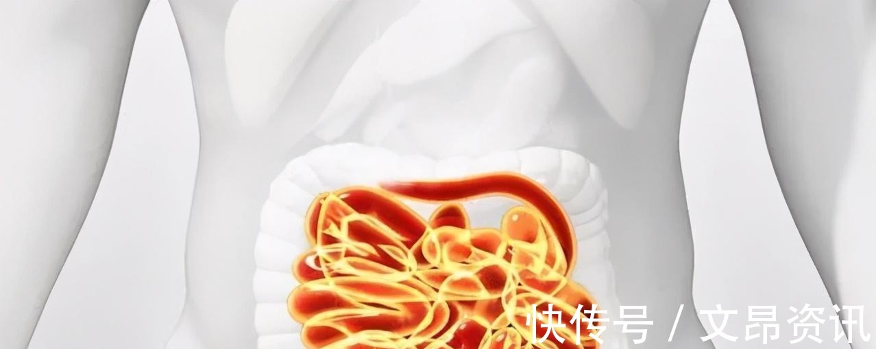 肠道|17岁男孩,一天跑8次厕所,医生查出原因,父母抱头痛哭不相信