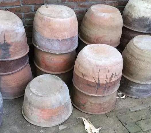 容器|家里有大水缸不要丢,拿来养花做容器,废物利用好处多