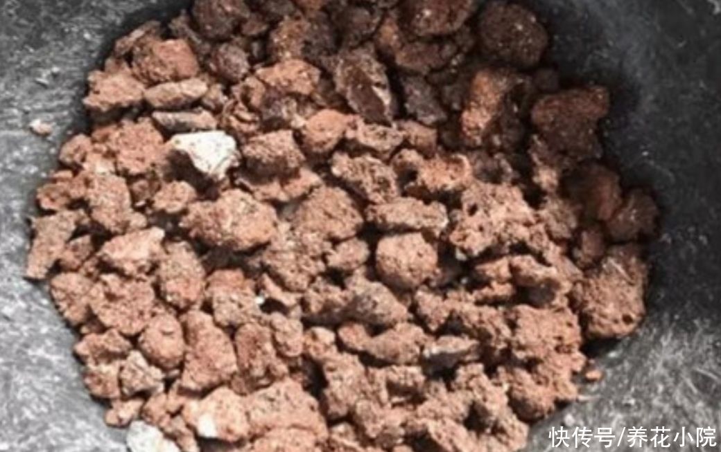 栽植|盆土不透气，花盆里加上4种“小东西”，通透性好，花卉不烂根