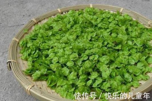 西兰花|人到中年,不妨坚持吃三种食物,排毒抗衰,润肠通便,增强抵抗力