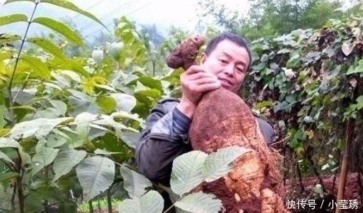 葛根粉|女人“雌激素”偏低，身体可能会有3个“表现”希望你一个都没