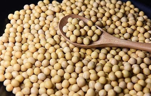 哪些食物可以預防前列腺？5種食物可以做到