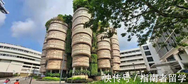 c来新加坡的第3个月，指南者留学学员在NTU读「应用经济」?