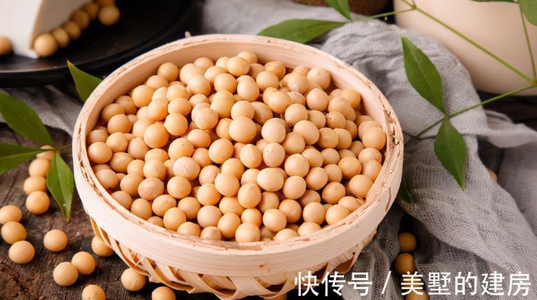 增肥|入秋后,给植物增肥就用它,发酵成水肥养花,肥效持久不烧苗