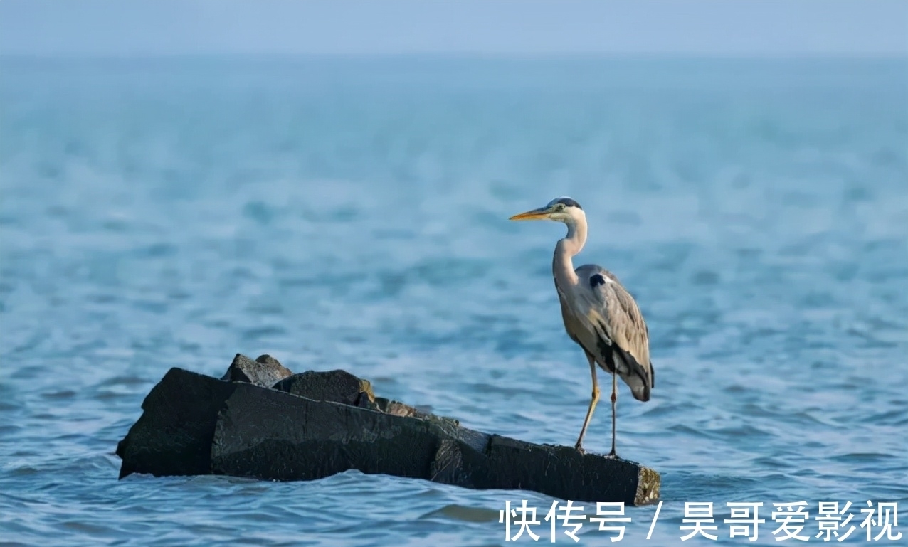 小镰仓|苏州本地人都知道的环太湖公路，沿途竟然有这么多打卡点，来看看