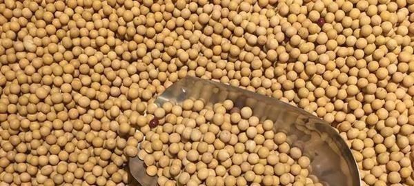 糖尿病人|糖尿病人不能吃米饭做到以下几点,不但能吃还能控糖!