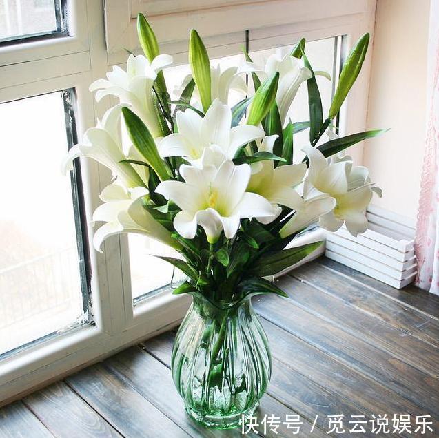 农村|这种花在农村到处都是,却是有钱人最爱养的盆栽,不仅招财还养人