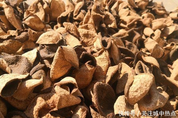 橘子皮晒一晒，养花用地上，有3大好处，解决一切养花难题！