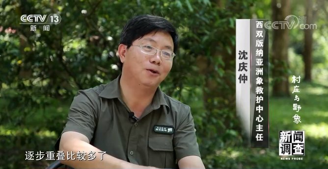 杨利海|记者重访25年前备受野象困扰的云南小村庄，看看那里如今的模样！