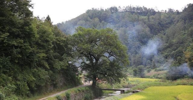 恢复|六旬男子花150万盖起仿古建筑,恢复清代三品官祖先的老院子