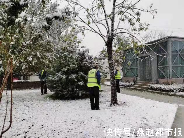 石家庄|河北大雪｜初雪至，石家庄柏林公园的园林工人清理积雪