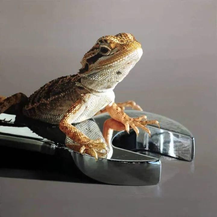 小动物|一幅画只有一条鱼,卖价7万元,放大看完细节,你会说真值