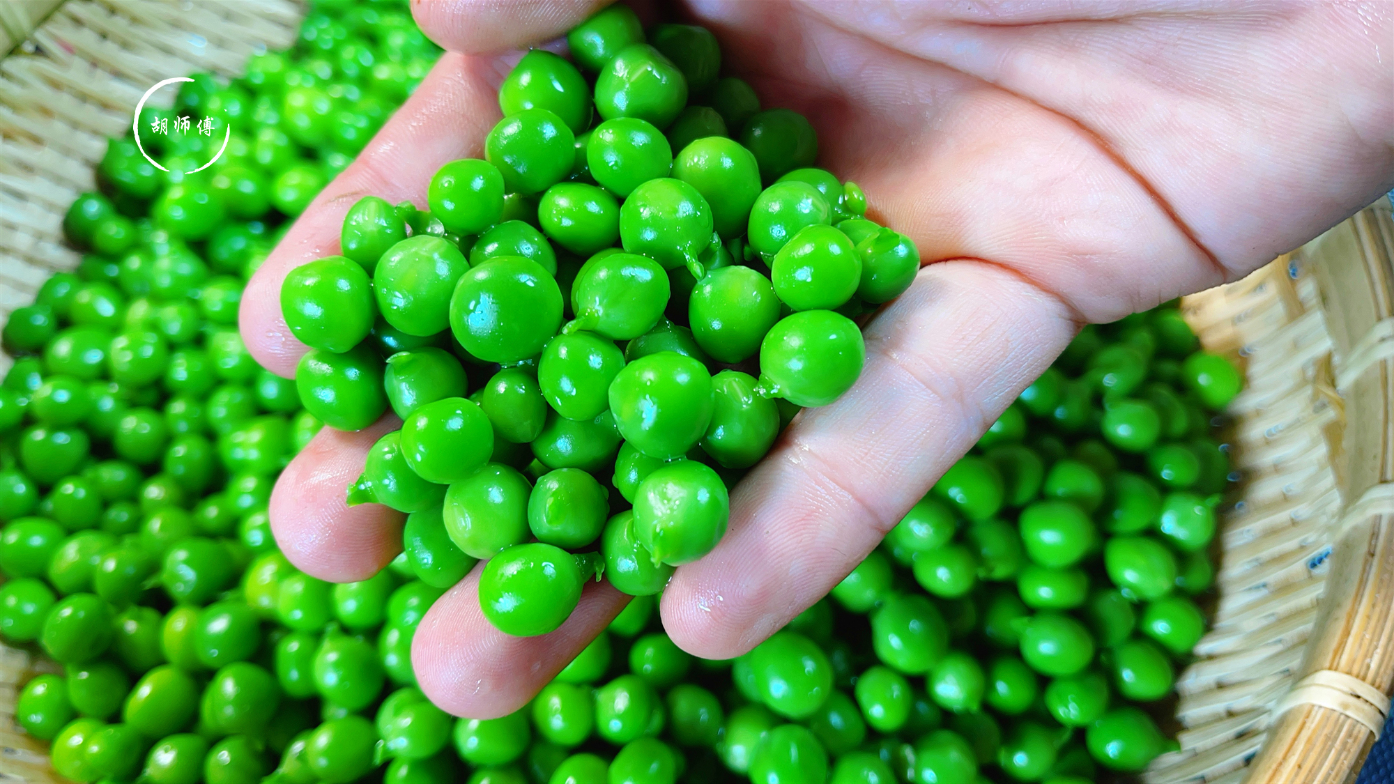 吃不完的豌豆,切记别直接放冰箱!老菜农教您一招,放1年都不坏