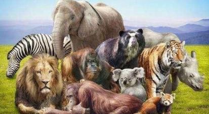 氧气真是越多越好？如果地球上全是氧气会怎样？科学家：会很可怕