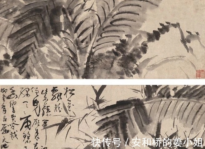 芭蕉！花鸟画一代宗师｜徐渭画竹，当在青藤之后，芭蕉之上，你认为呢？