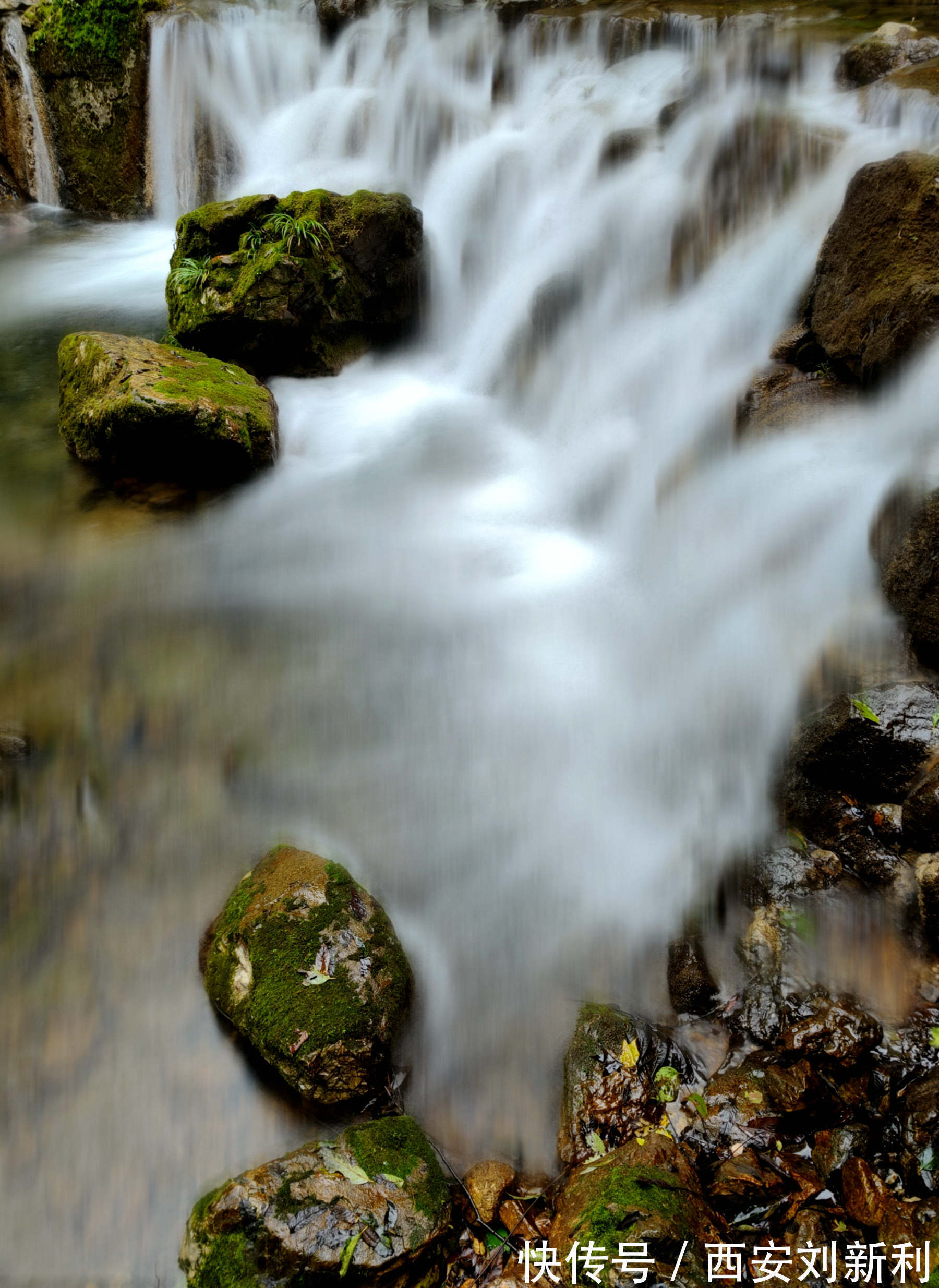 后湾村|赏商南后湾村 阳城驿 金丝峡美景 品鉴泉茗茶宴 商南小吃宴 金丝十三花