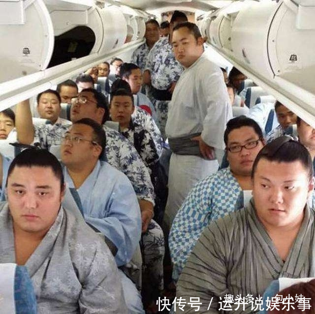 黄山落叶松叶落山黄!日本人出上联:“本日飞机飞日本”,我国网友对的下联大快人心