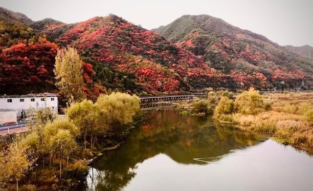 父母在，不远游，来栾川县旅游吧