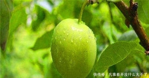 40岁女性可以吃3种食物，美容养颜、滋养脾胃，越吃越年轻！