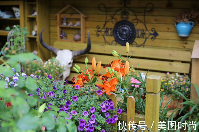 阳台上|为建花园,不顾反对买了一楼带院子,3年的亲手布置朋友都羡慕了