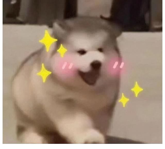 时代少年团首演新歌？双11狂欢夜节目单线索烧脑值拉满