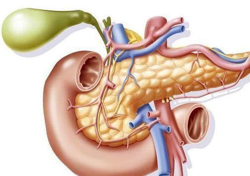 瘙痒|肝不好身体这2处会瘙痒,还容易消化不良,如果都没有,说明肝还不错